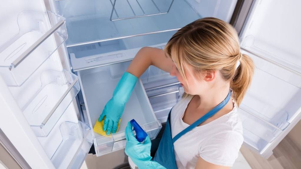 limpiar-tu-nevera limpiar-tu-nevera