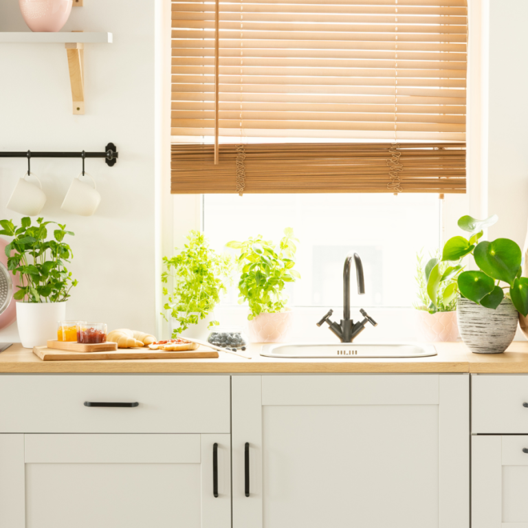 plantas-en-la-cocina plantas-en-la-cocina