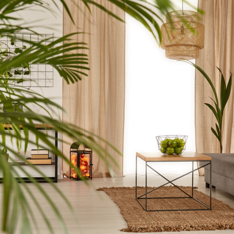 decorar-con-plantas